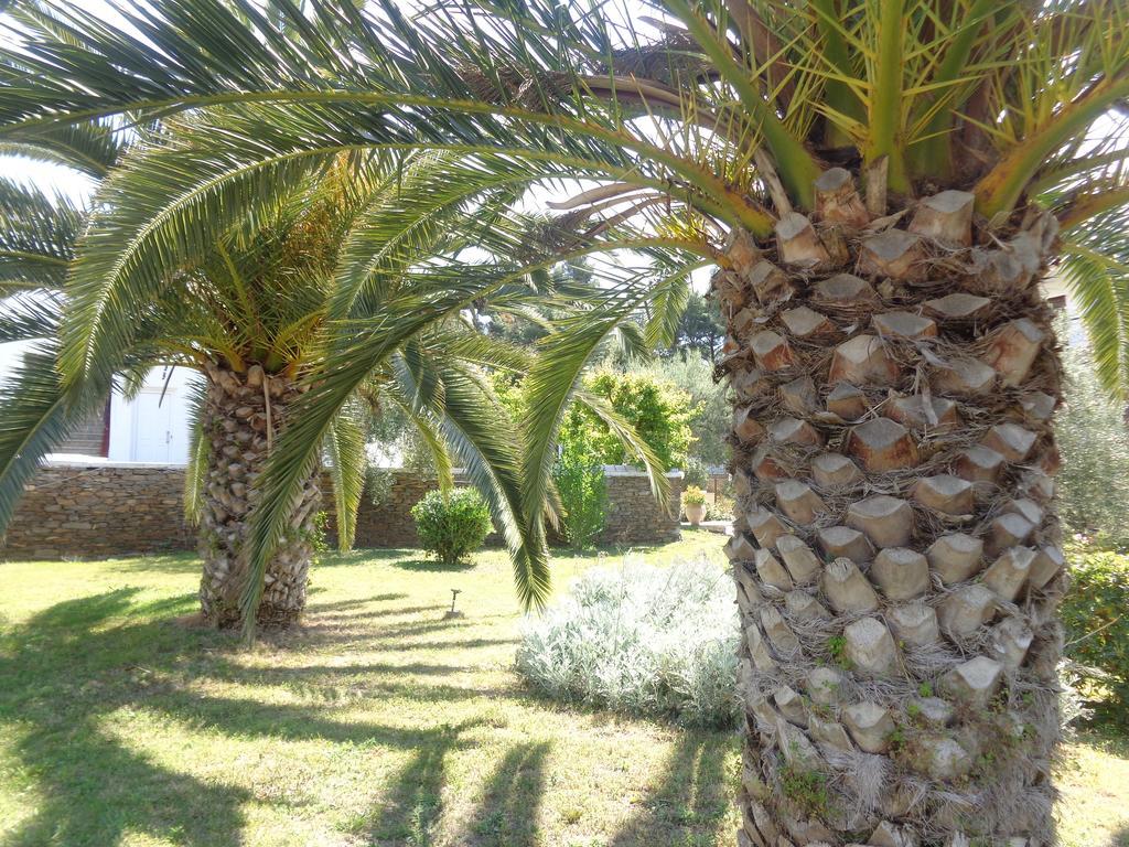 Porto Matina Metamorfosi (Sithonia) Exterior foto