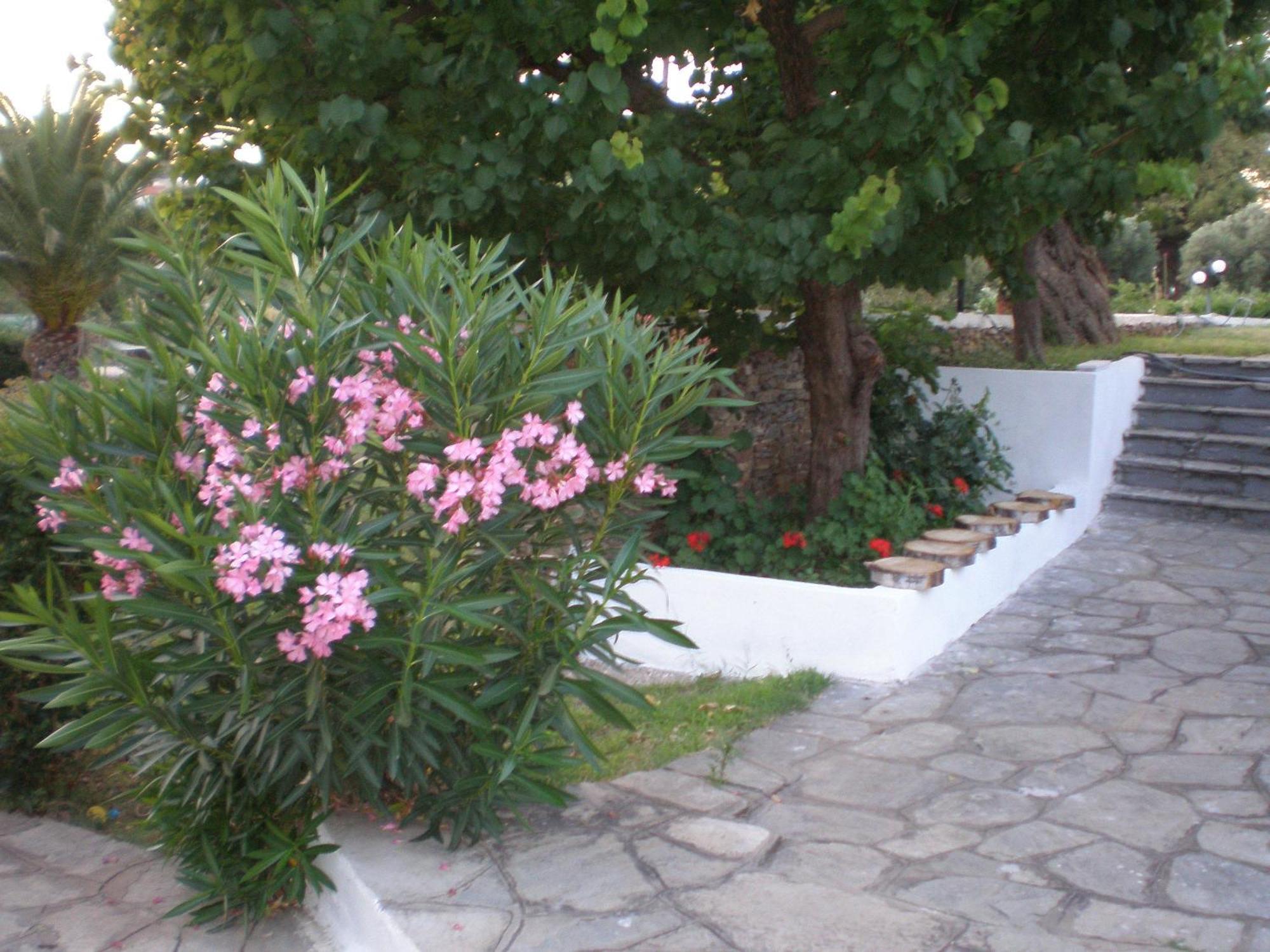 Porto Matina Metamorfosi (Sithonia) Exterior foto