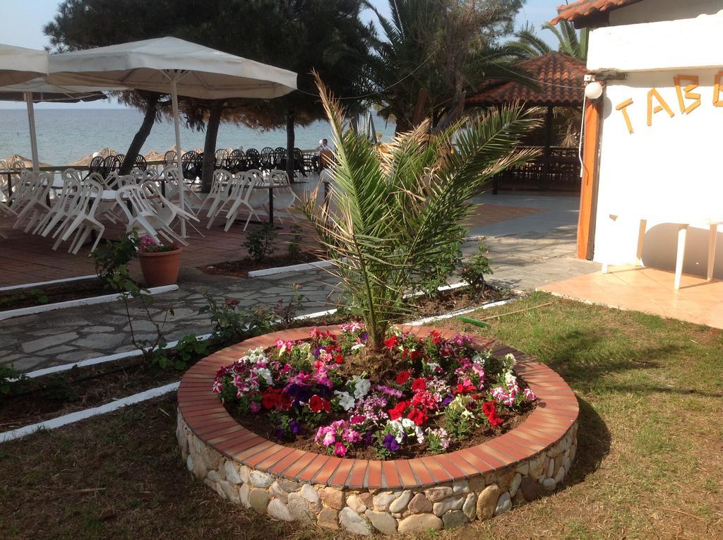 Porto Matina Metamorfosi (Sithonia) Exterior foto